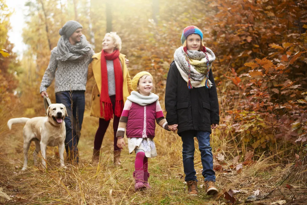 Eltern und Kinder spazieren durch einen bunten Herbstwald