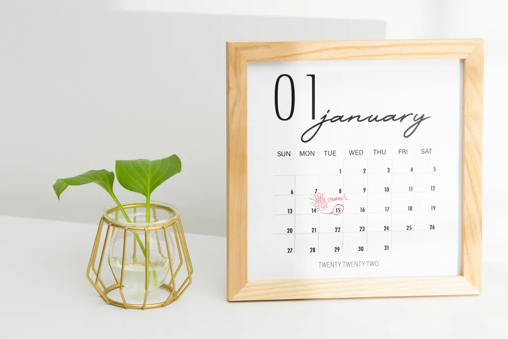 Kalender mit Notizen neben einer grünen Zimmerpflanze auf hellem Tisch